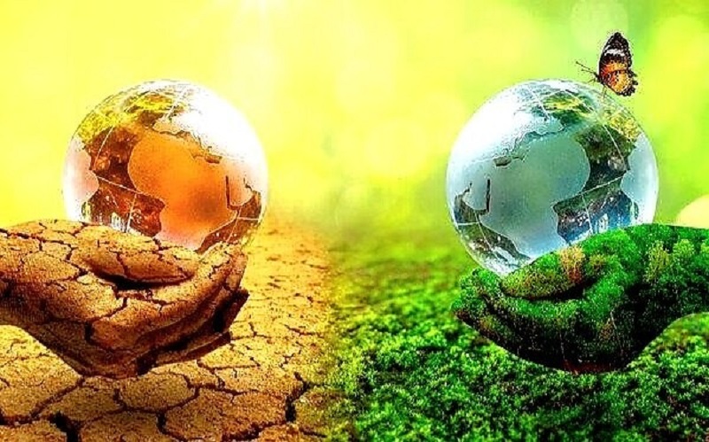 Hậu quả của thủng tầng ozon