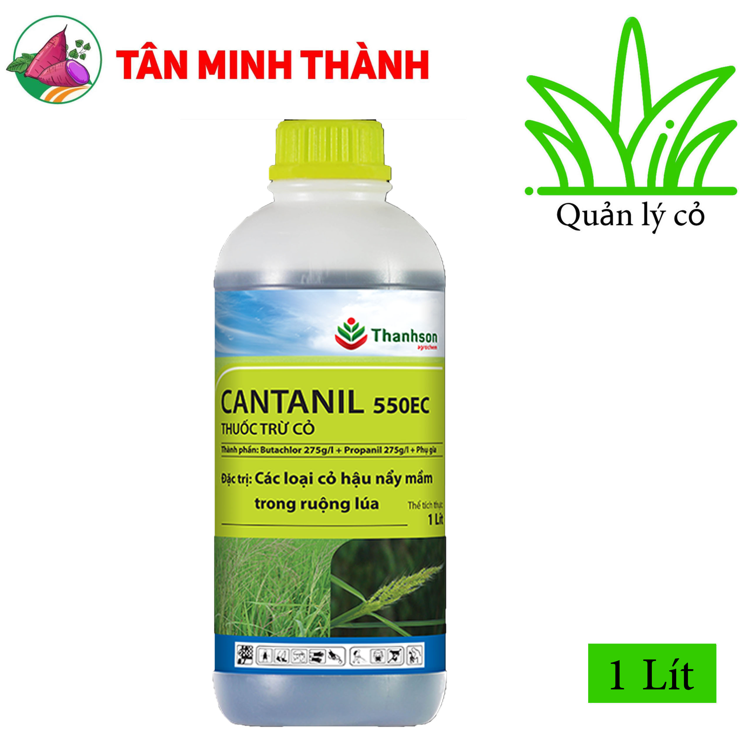 Thuốc Cỏ Hậu Nảy Mầm: Hướng Dẫn Sử Dụng và Lựa Chọn Hiệu Quả