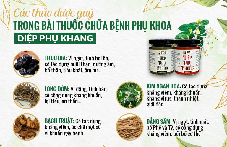 Thuốc Diệp Phụ Khang Giá Bao Nhiêu? Gallery 2