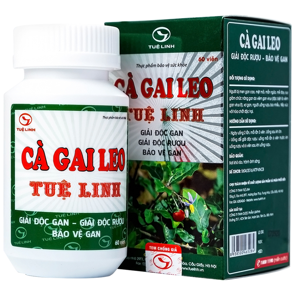 Thuốc Giải Độc Gan Cà Gai Leo