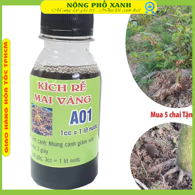 Thuốc Kích Rễ Cho Cây Mai Vàng