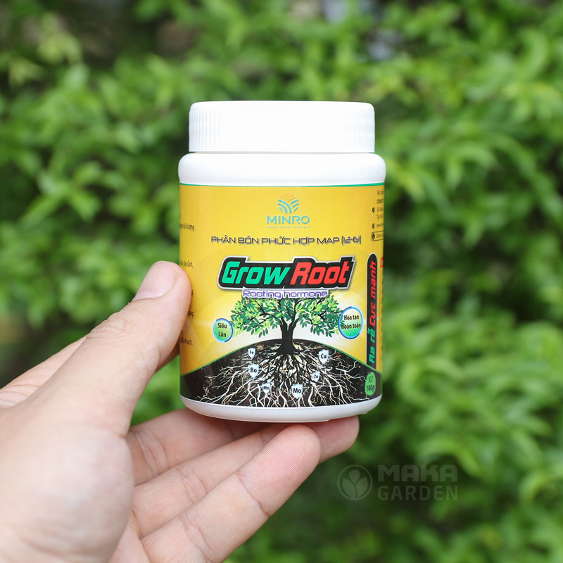 Thuốc Kích Thích Rễ Cây: Hướng Dẫn Chọn Và Sử Dụng Hiệu Quả