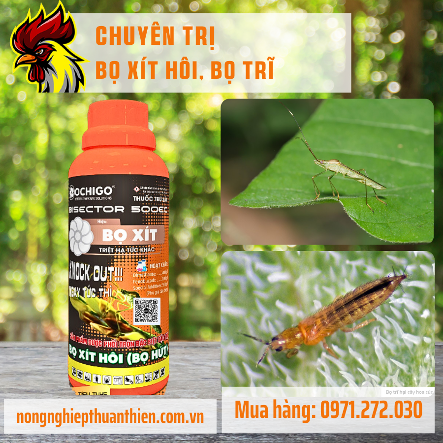 Thuốc Trị Bọ Xít Hiệu Quả