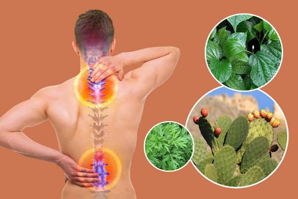Thuốc Trị Cụp Xương Sống