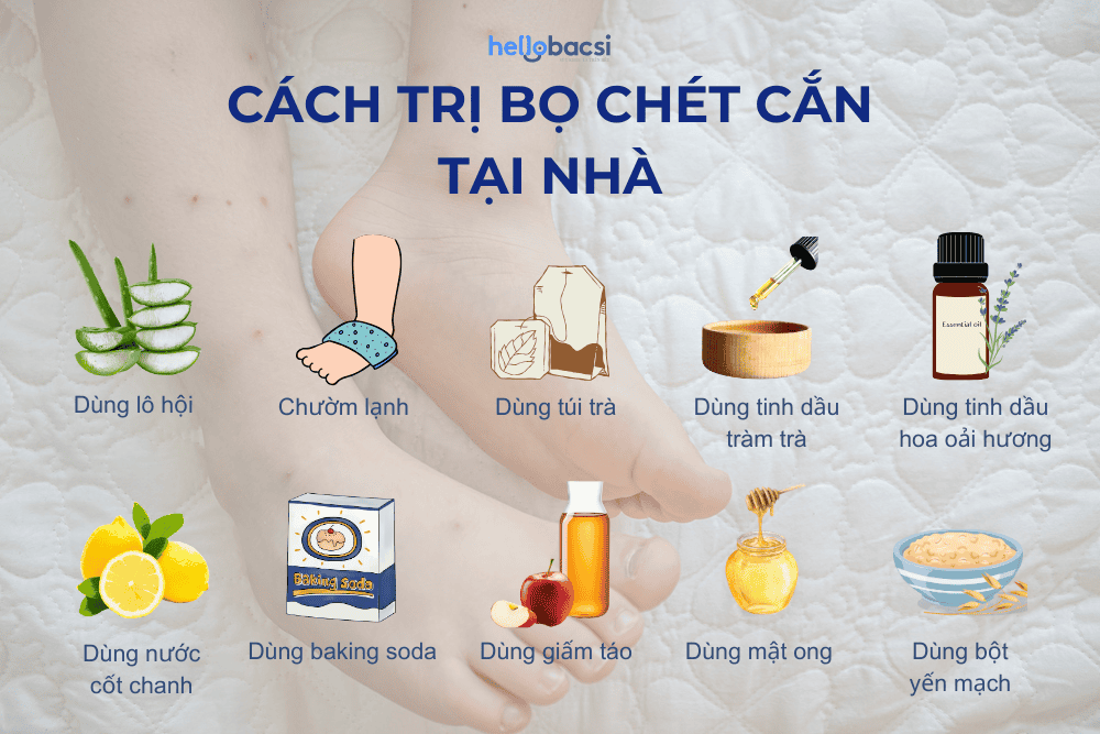 Cách Trị Bọ Chó Đốt Người Gallery 2