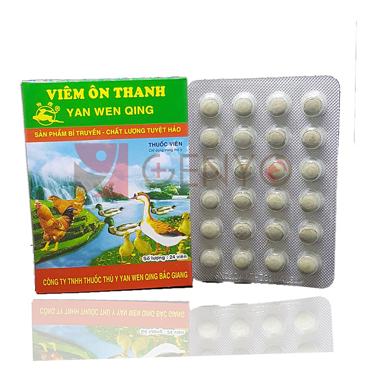 Thuốc Viêm Ốn Thanh: Hướng Dẫn Chi Tiết Về Điều Trị Và Phòng Ngừa