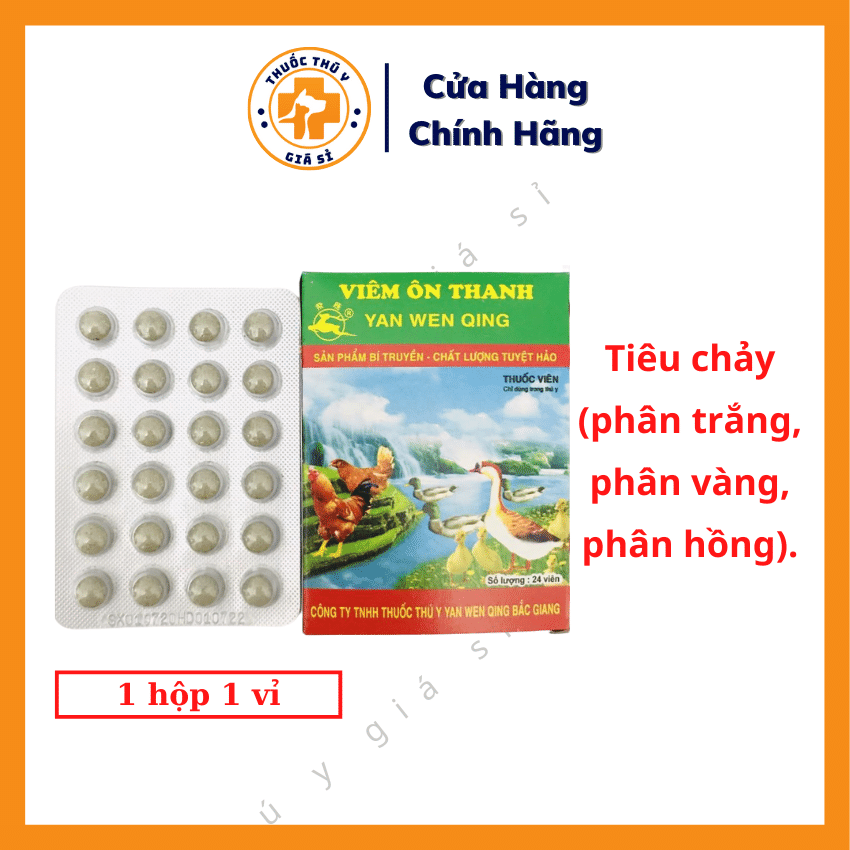 Thuốc Viêm Ốn Thanh: Hướng Dẫn Chi Tiết Về Điều Trị Và Phòng Ngừa Gallery 1