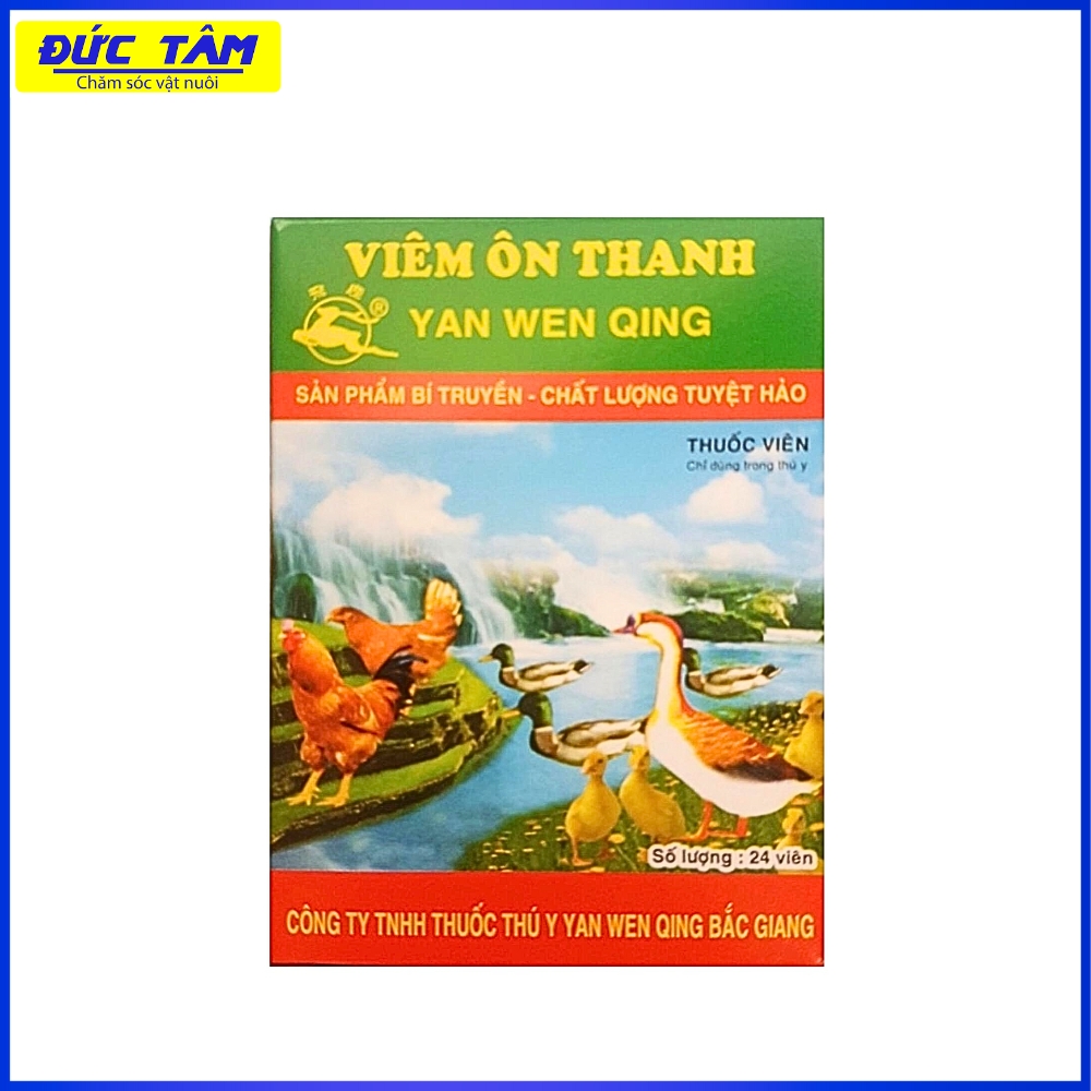 Thuốc Viêm Ốn Thanh: Hướng Dẫn Chi Tiết Về Điều Trị Và Phòng Ngừa Gallery 2