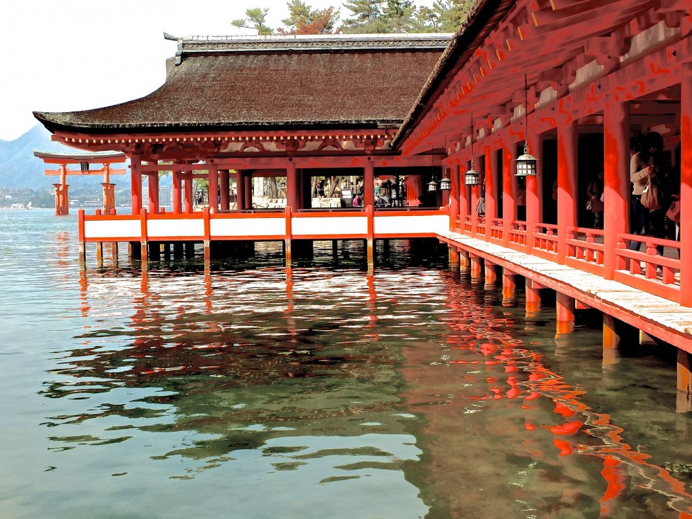 Thủy Triều Nhật Bản