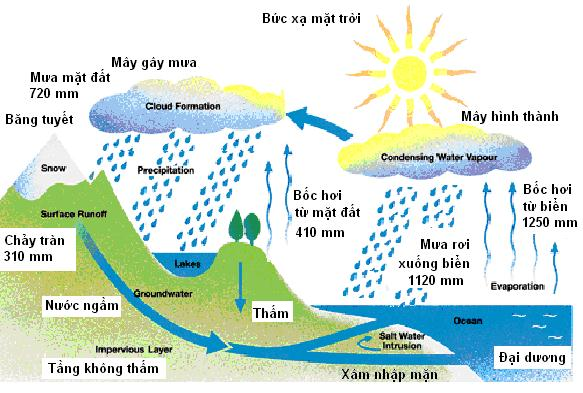 Thuỷ văn là gì?