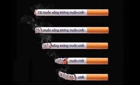 Cách Thuyết Phục Người Thân Bỏ Thuốc Lá Hiệu Quả Gallery 2