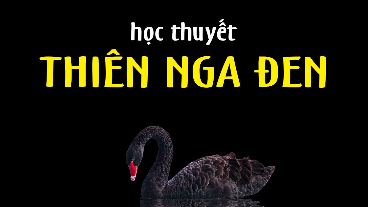 Thuyết Thiên Nga Đen: Hiểu Về Những Sự Kiện Có Tác Động Khổng Lồ Và Khó Dự Đoán