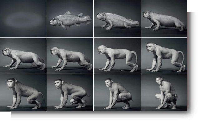 Tình Yêu Gặp Được Darwin Gallery 1