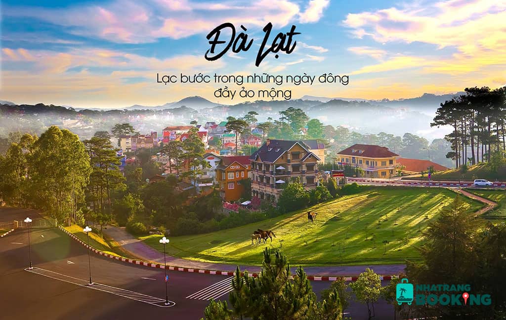 Thuyết Trình Về Đà Lạt: Thành Phố Mộng Mơ Giữa Cao Nguyên