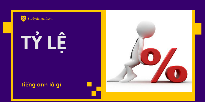 Tỉ lệ tiếng Anh là gì?
