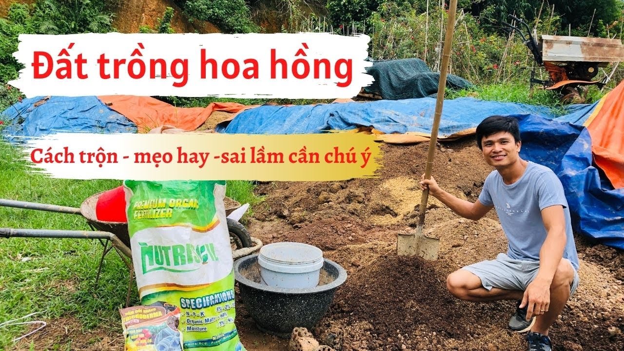 Cách Trộn Đất Trồng Hoa Hồng Gallery 2