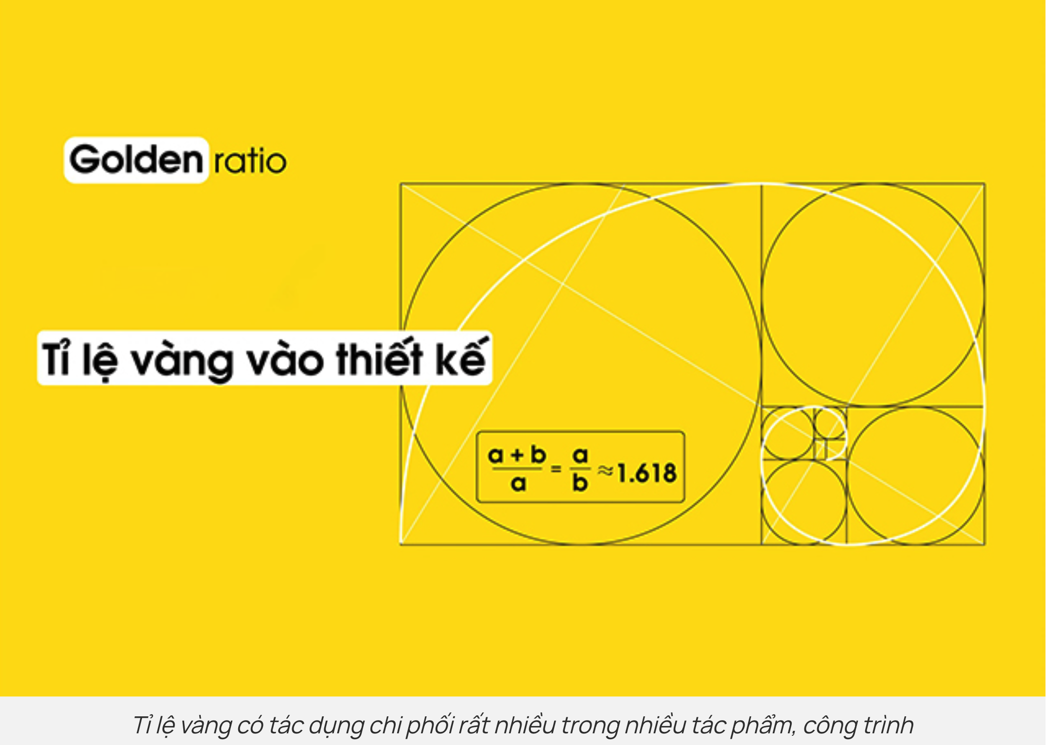 Tỉ lệ vàng là gì? Ứng dụng của tỉ lệ vàng trong thiết kế Gallery 2