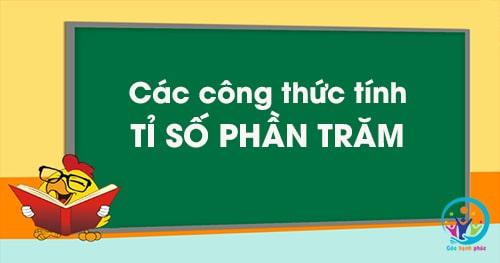 Tỉ số phần trăm là gì? Cách tính tỉ số phần trăm Gallery 2