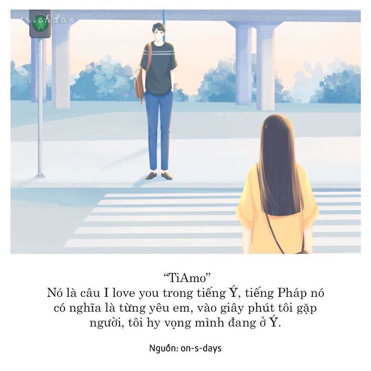 Tiamo Tiếng Pháp: Ý Nghĩa, Cách Sử Dụng Và Những Điều Cần Biết Gallery 2