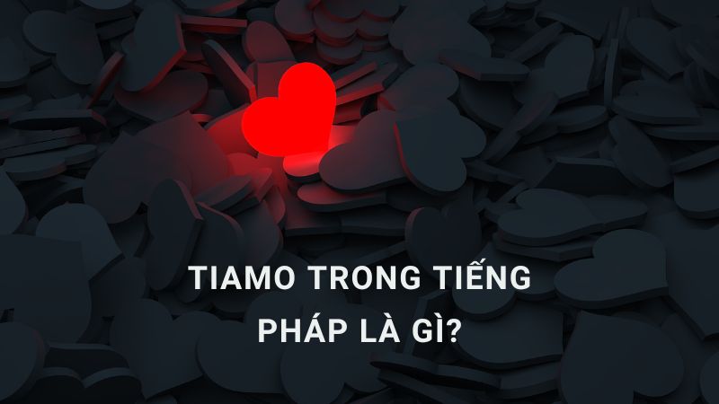 Tiamo tiếng Pháp là gì?