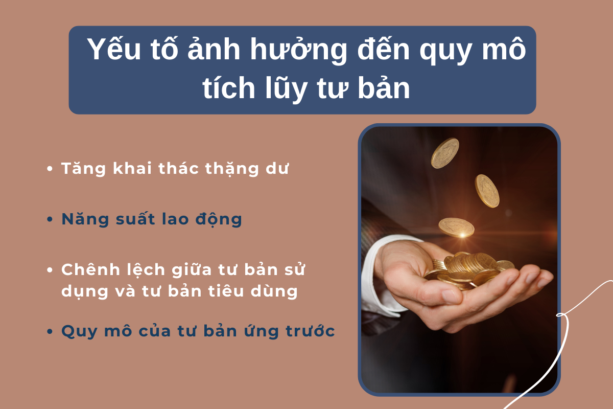 Tích Lũy Tư Bản Là Gì?