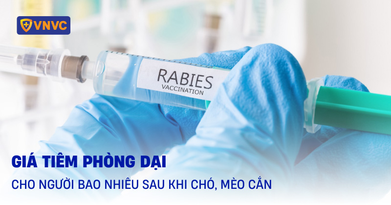 Tiêm phòng dại bao nhiêu tiền?