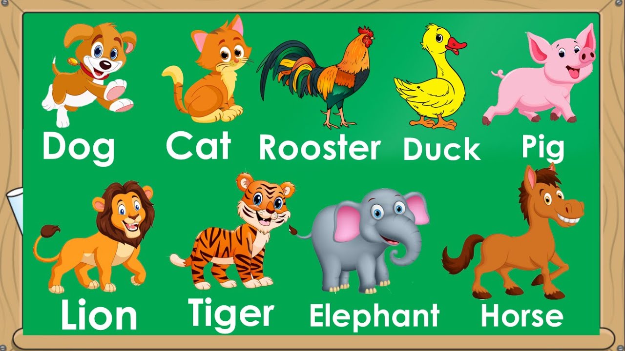 Animals for Kids: Fun Facts and Pictures