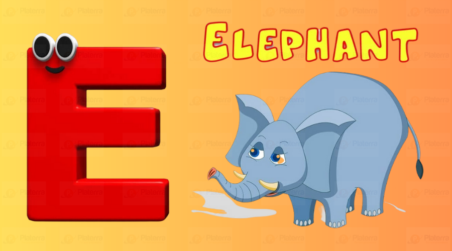 The Letter E in English