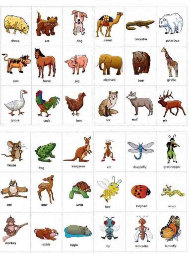 Animals in English: A Comprehensive Guide