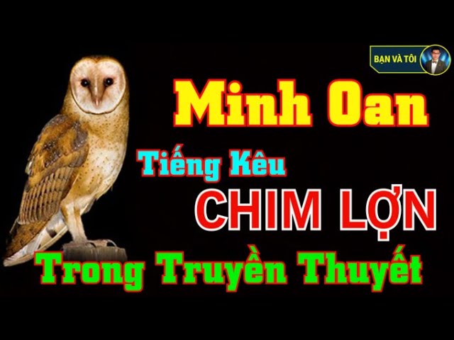 Tiếng Chim Lợn Kêu Như Thế Nào?