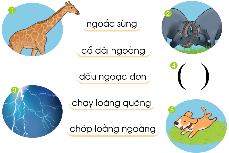 Tiếng Việt Có Vần Oăng, Oăc: Khám Phá Thế Giới Âm Vần Thú Vị