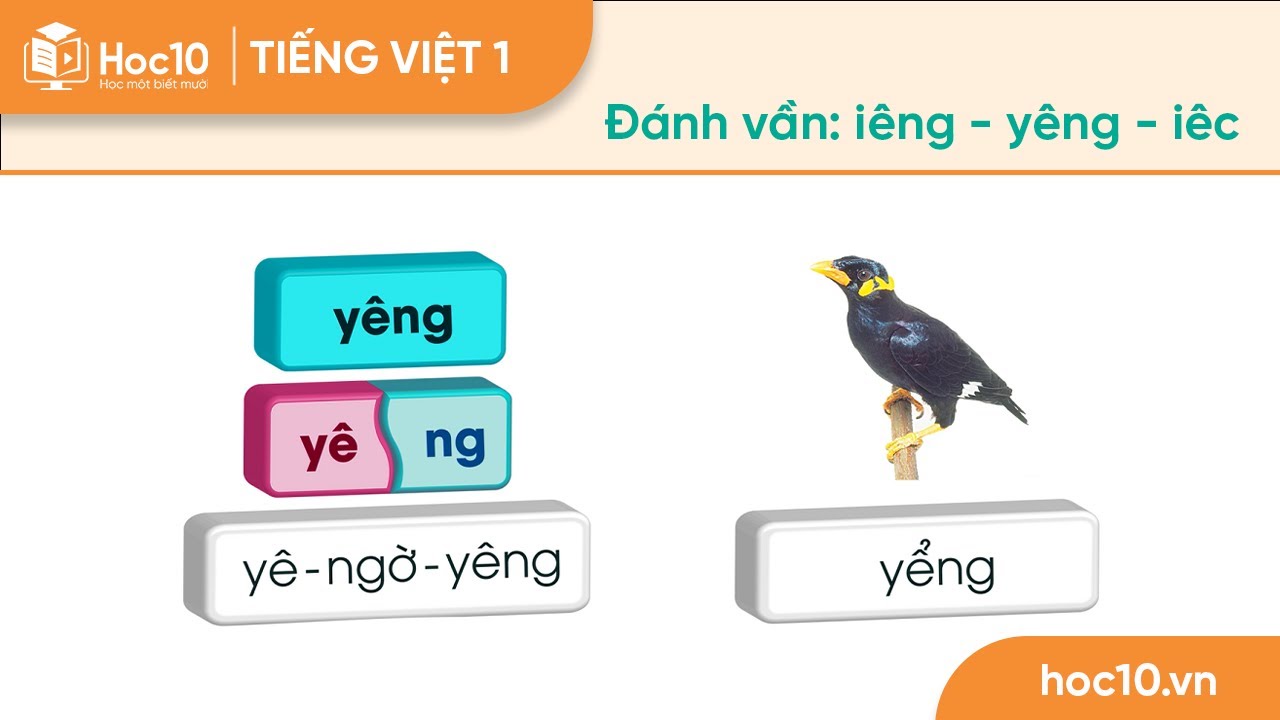 Tiếng Có Vần Yêng Gallery 2