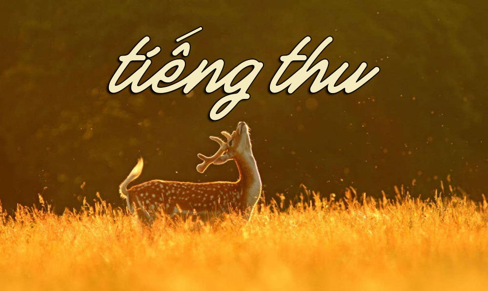 Phân tích Tiếng Thu của Lưu Trọng Lư Gallery 2