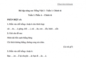 Tiếng Việt Nâng Cao Lớp 2 Có Đáp Án