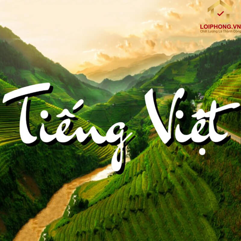 Viết bài chuẩn SEO tiếng Việt là gì?