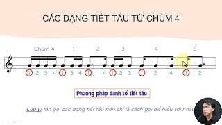 Thẩm Âm Tiết Tấu Là Gì? Gallery 2