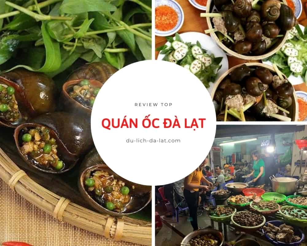 Quán Ốc Ngon Đà Lạt - Review & Địa Chỉ Chi Tiết Gallery 2
