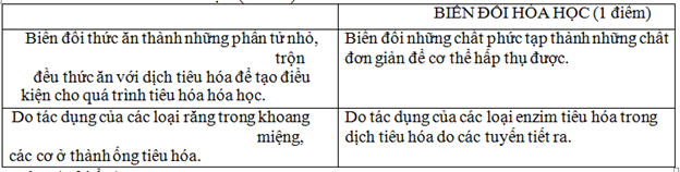 Phân biệt tiêu hóa nội bào và ngoại bào Gallery 2