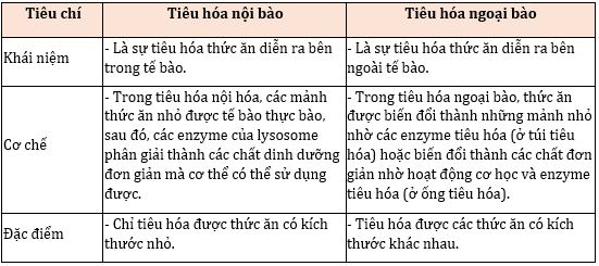 Phân biệt tiêu hóa nội bào và tiêu hóa ngoại bào Gallery 1