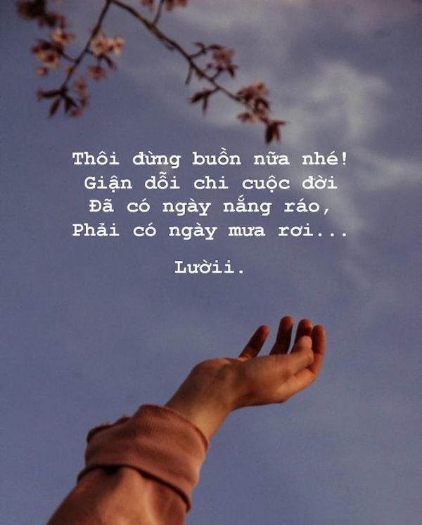 Tiểu Sử Buồn Ngắn