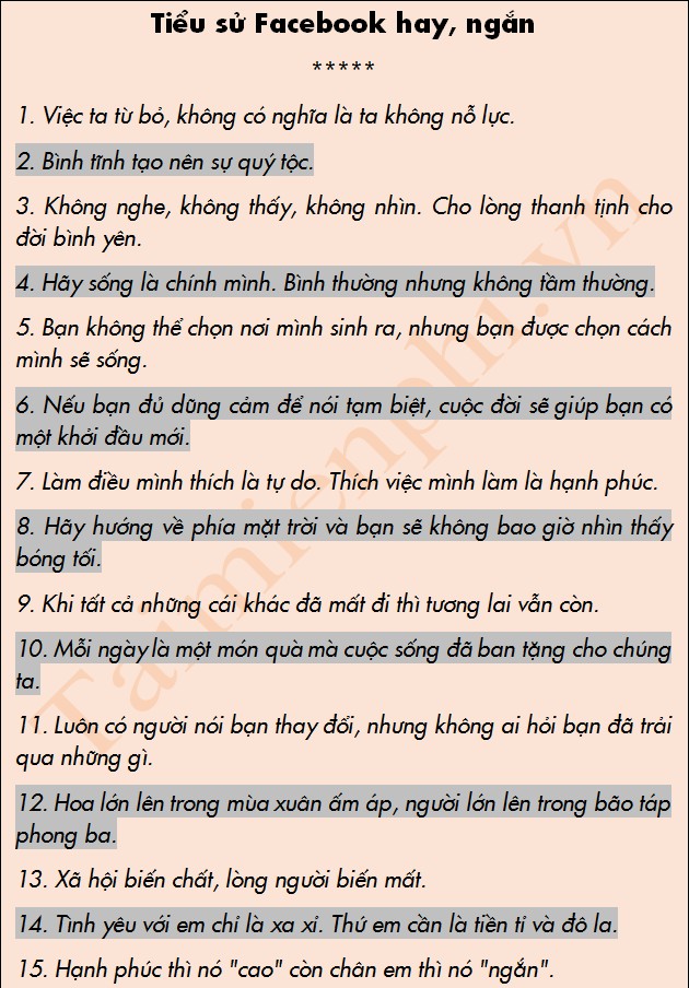 Tiểu sử là gì?