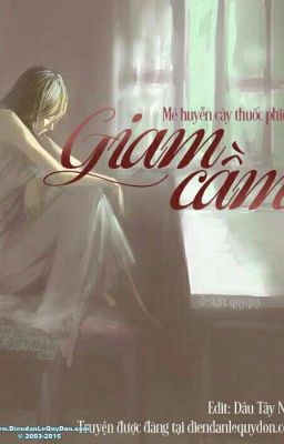 Tiểu thuyết Giam cầm: Khám phá thế giới đen tối của sự giam cầm và giải thoát