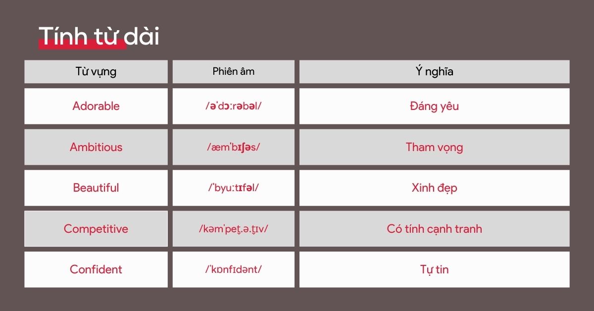 10 Tính Từ Hay và Ý Nghĩa