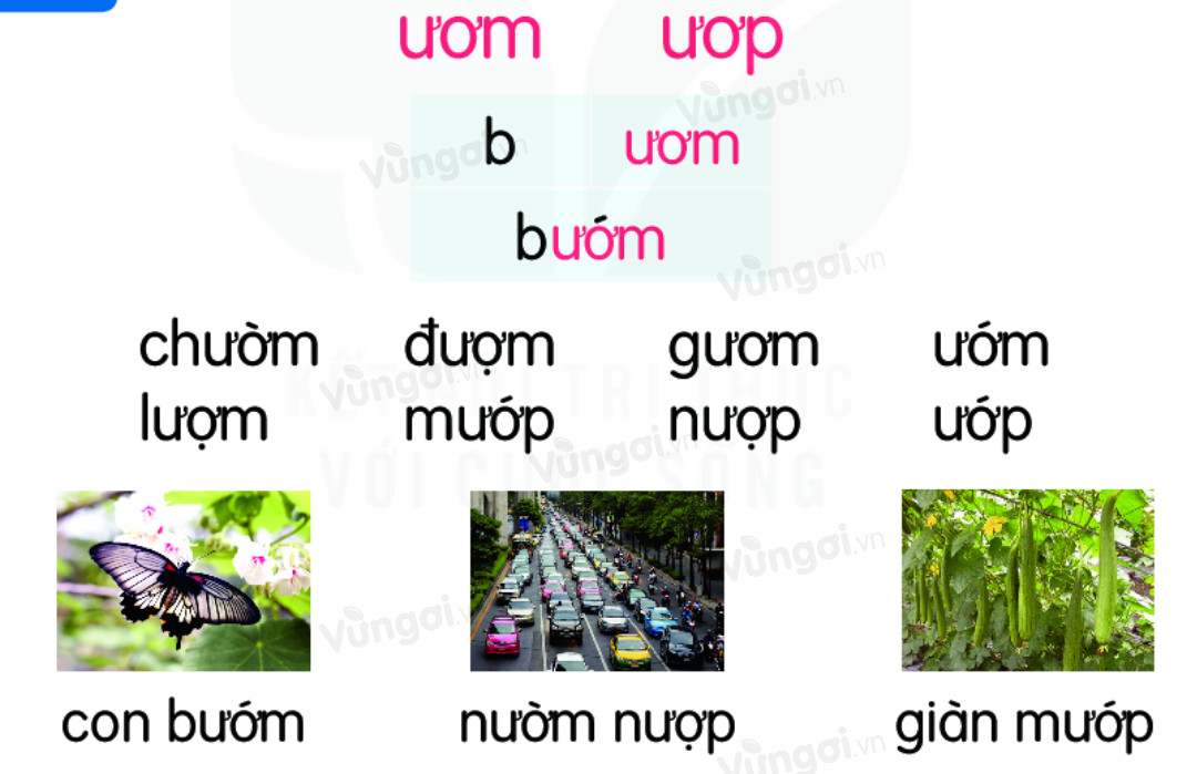 3 Từ Có Vần Ươm