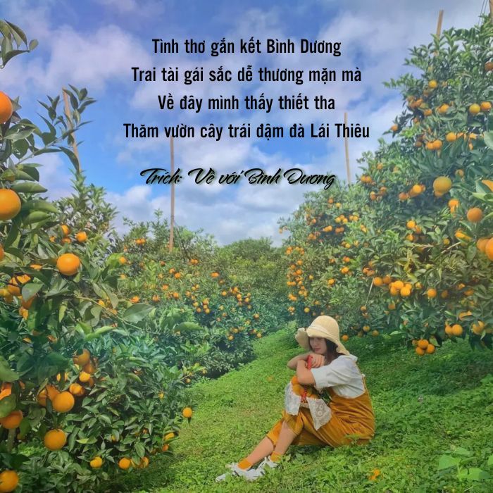 Ca Dao Tục Ngữ Về Bình Dương Gallery 1