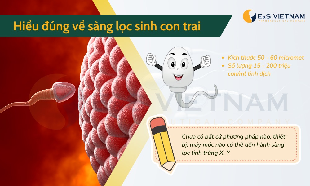 Sàng lọc tinh trùng sinh con trai hết bao nhiêu tiền? Gallery 2