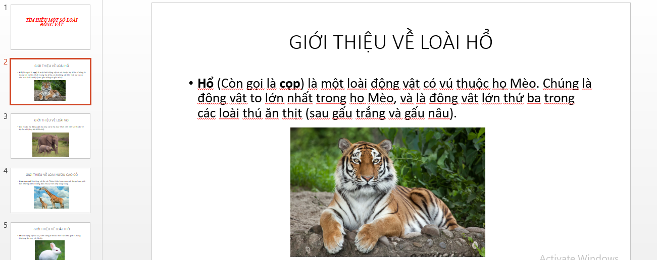 Tìm hiểu một số loài vật lớp 4