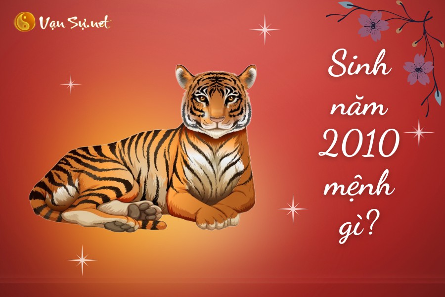 2K10 Tuổi Con Gì? Gallery 2