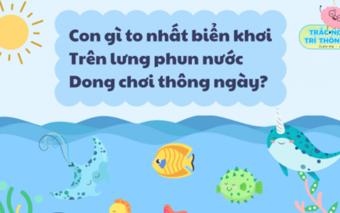 Câu Đố Về Con Vật Dưới Biển: Bạn Có Biết Đây Là Con Gì Không? Gallery 2