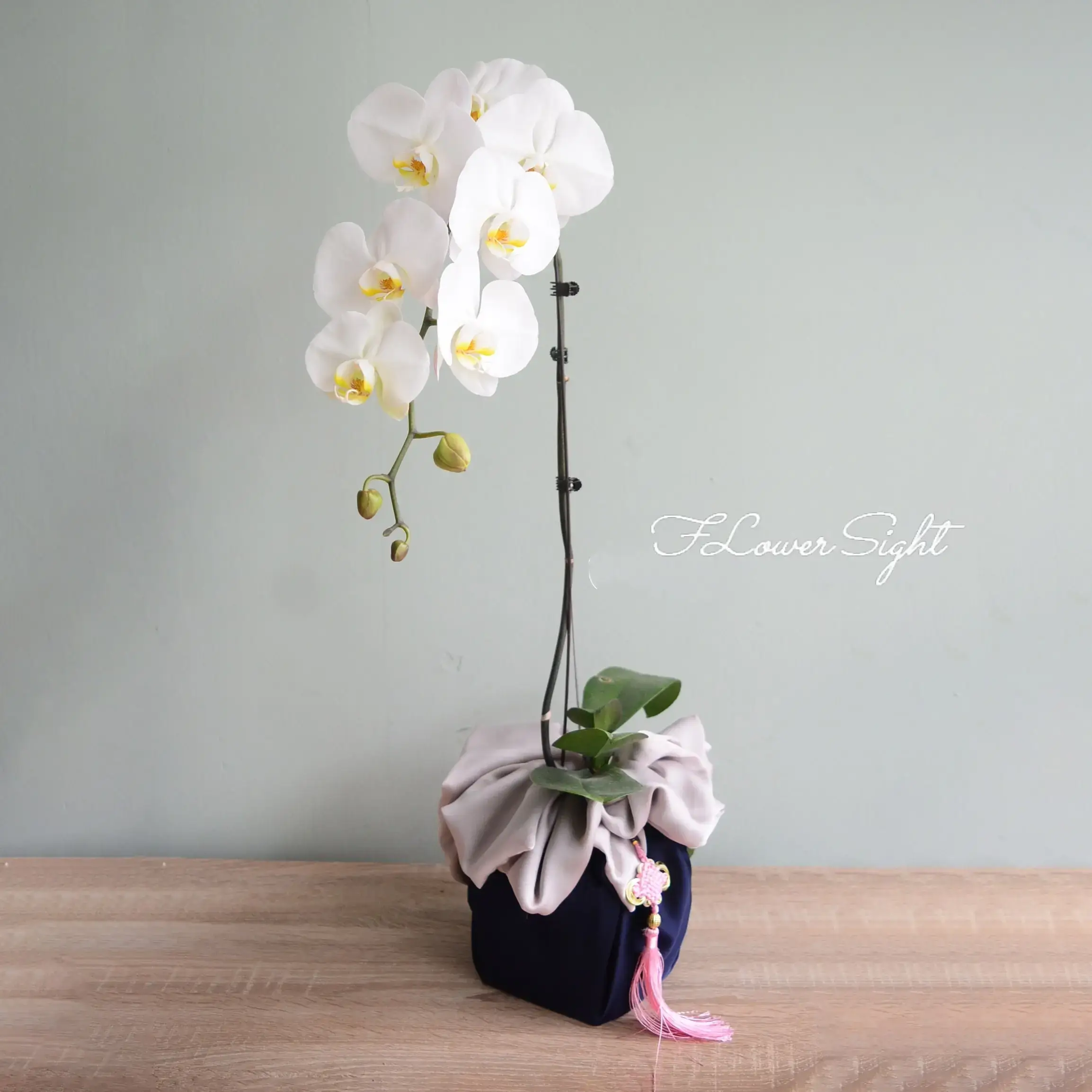 Giá 1 Cành Lan Hồ Điệp Gallery 2